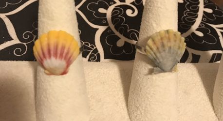 Adjustable sunrise shell rings