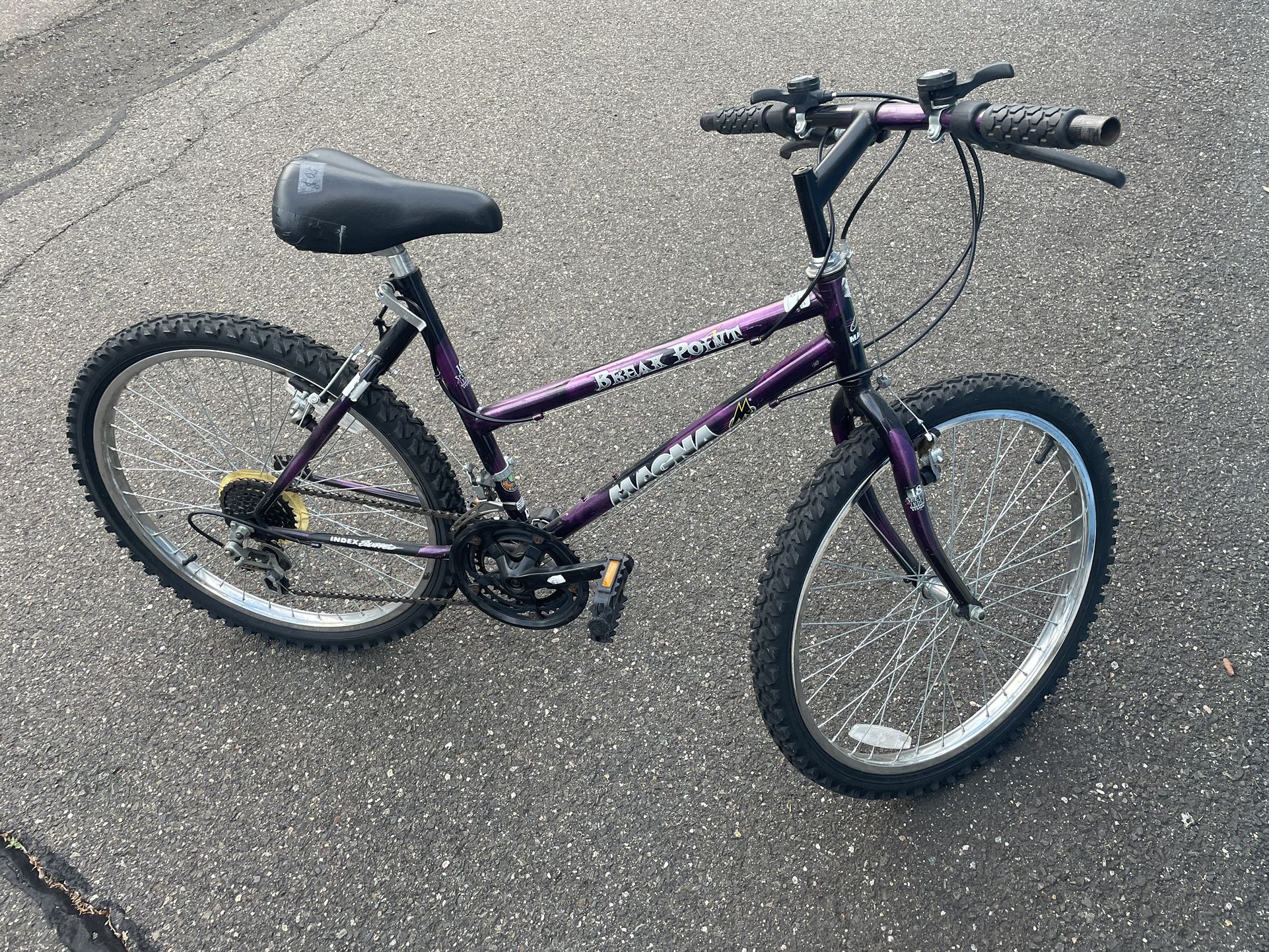 24” Girls Bike Great Condition Like New Tires 