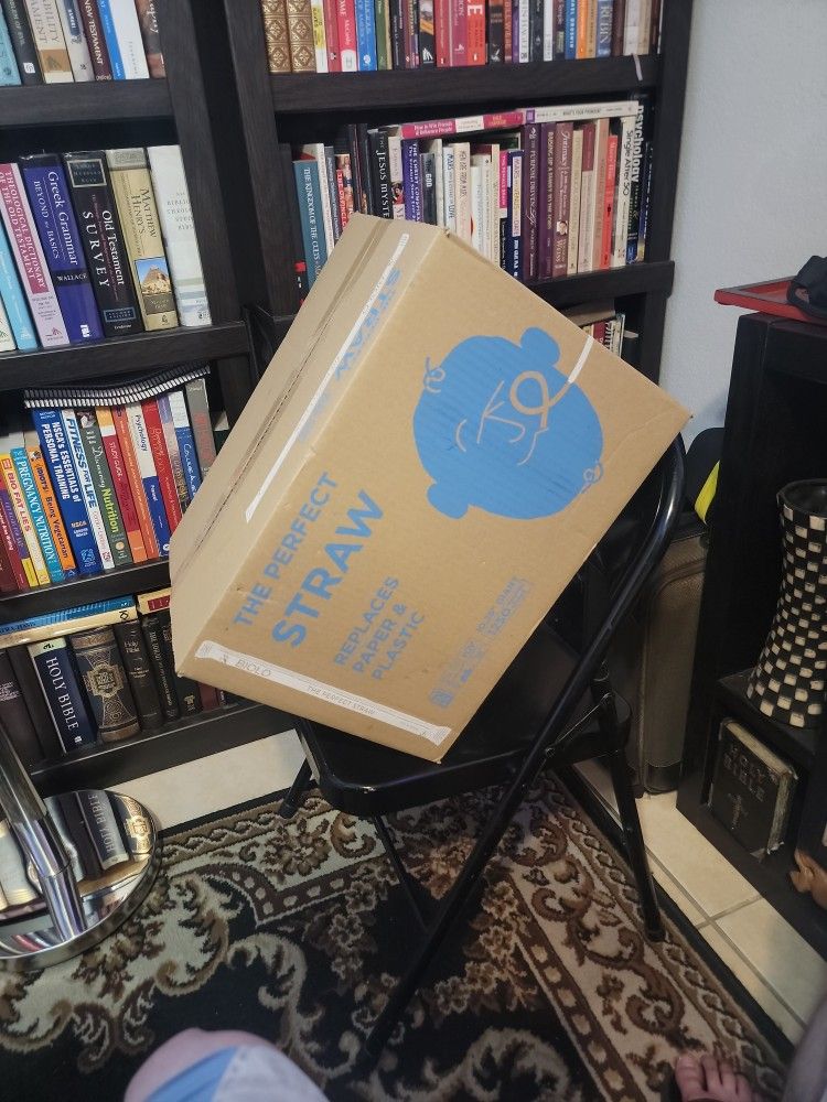 1250 Ct Box of Straws