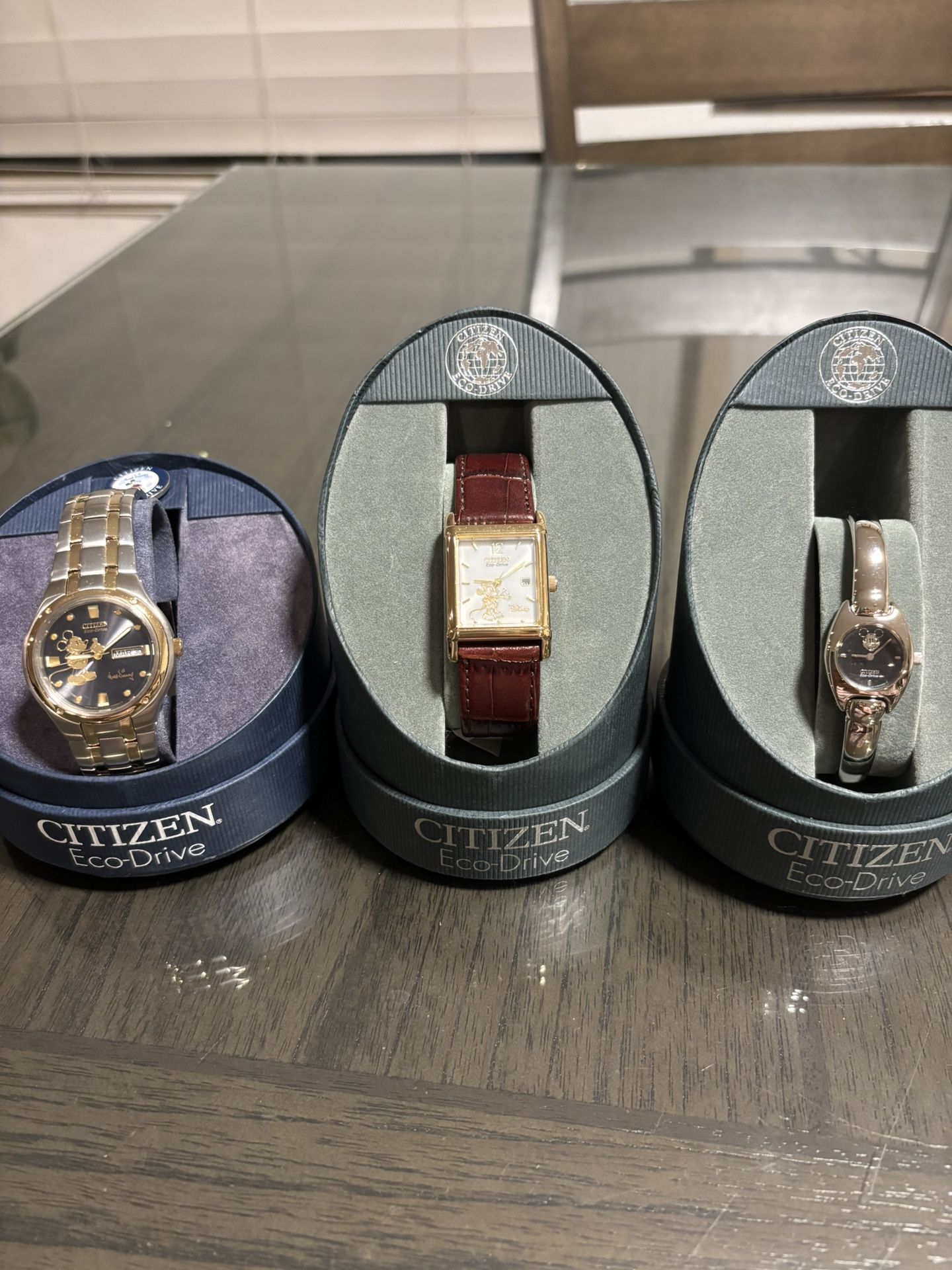 Citizen Disney Watch