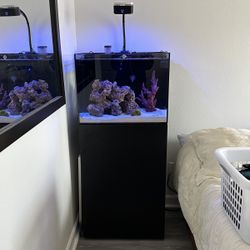 Waterbox 35.2 AIO fish tank aquarium And Stand 