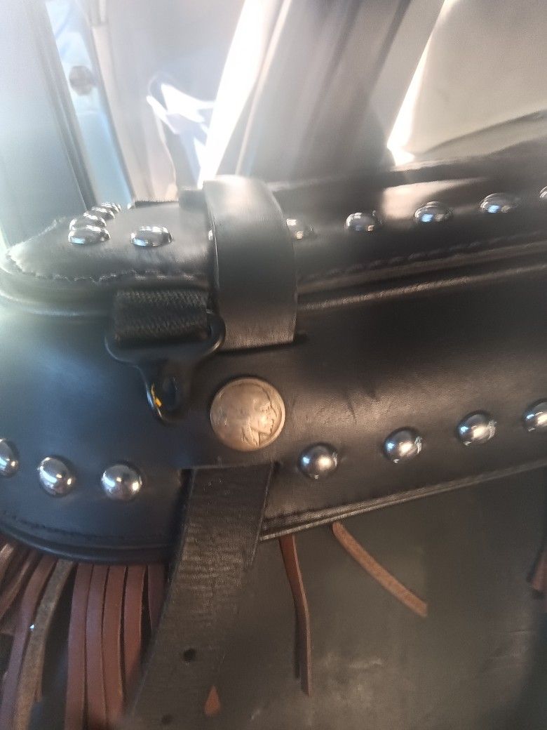 Badass Custom Buffalo Nickel Button Saddlebags Clip On