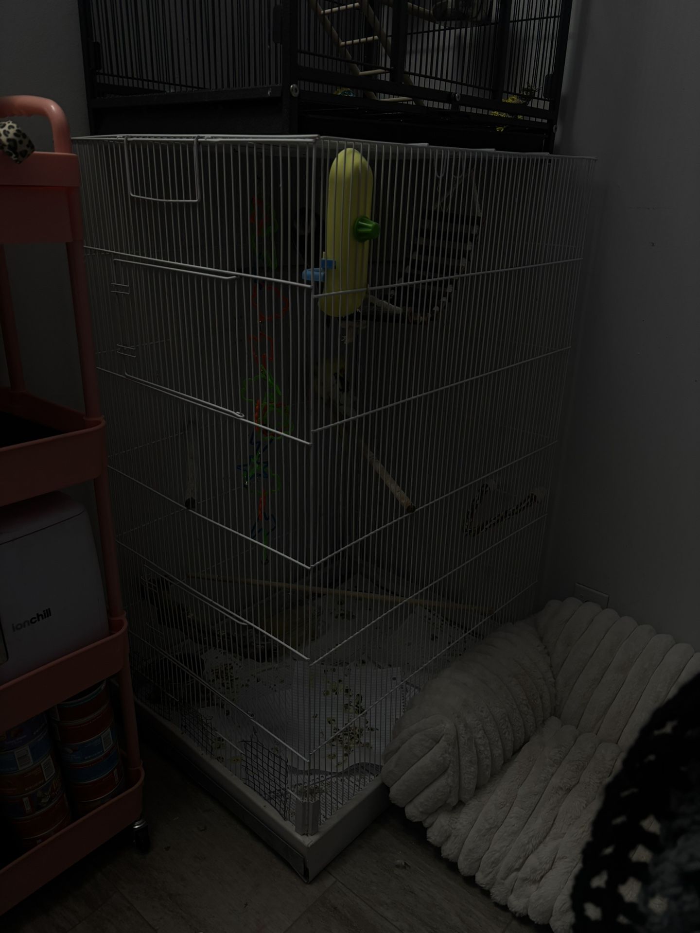 Bird Cage
