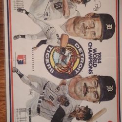 1984 Detroit Tigers Placement 