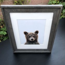 Bear Cub Nursery Wood Frame 17” H x 14” W x 1” D  