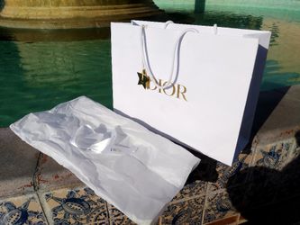 Authentic Dior Gift Bag 