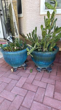 2 Large Plant Pots