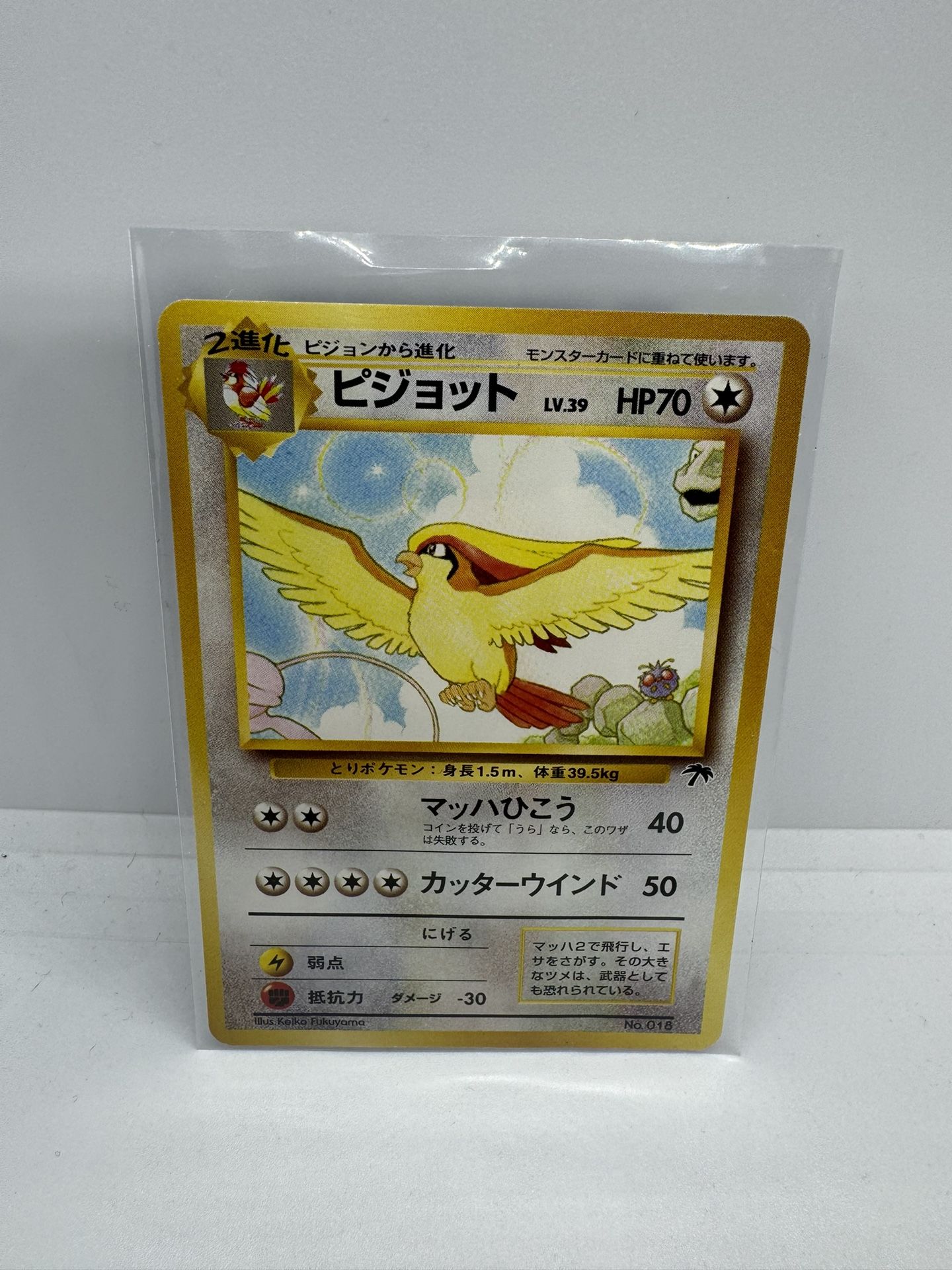 Japanese Southern Islands Pokmon Card Set