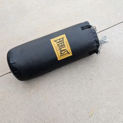 Everlast Punching Bag 