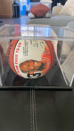 Miniature Wilson, basketball Michael Jordan