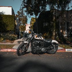 2022 Harley Davidson Iron 883 