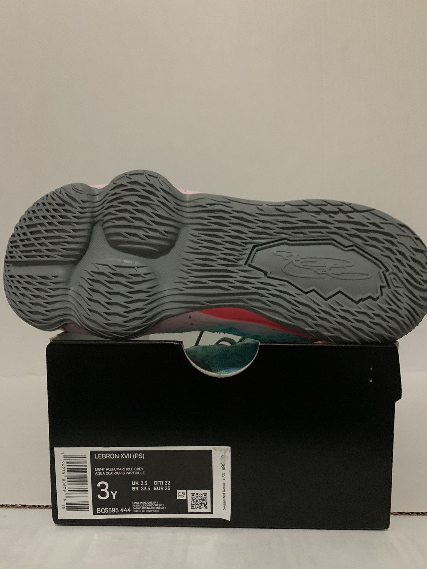Nike Lebron 17 South Beach Kids