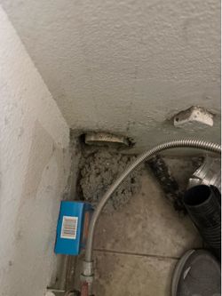 Dryer vent (cleaning special)