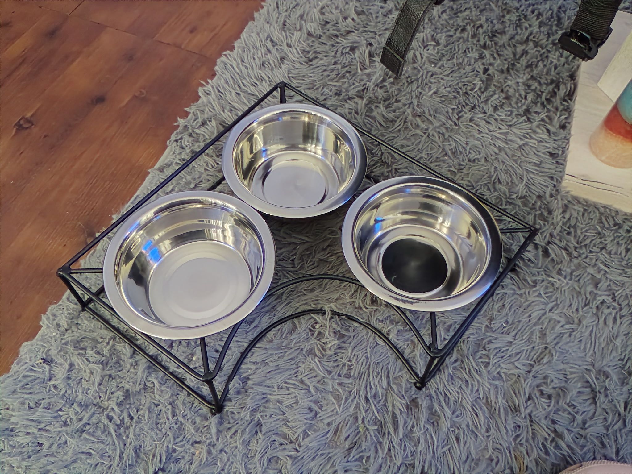 Three Bowl Set Forpets