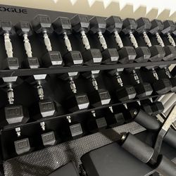 Rogue Weight Set & Bench