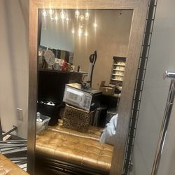 Body Mirror Silver Trim 