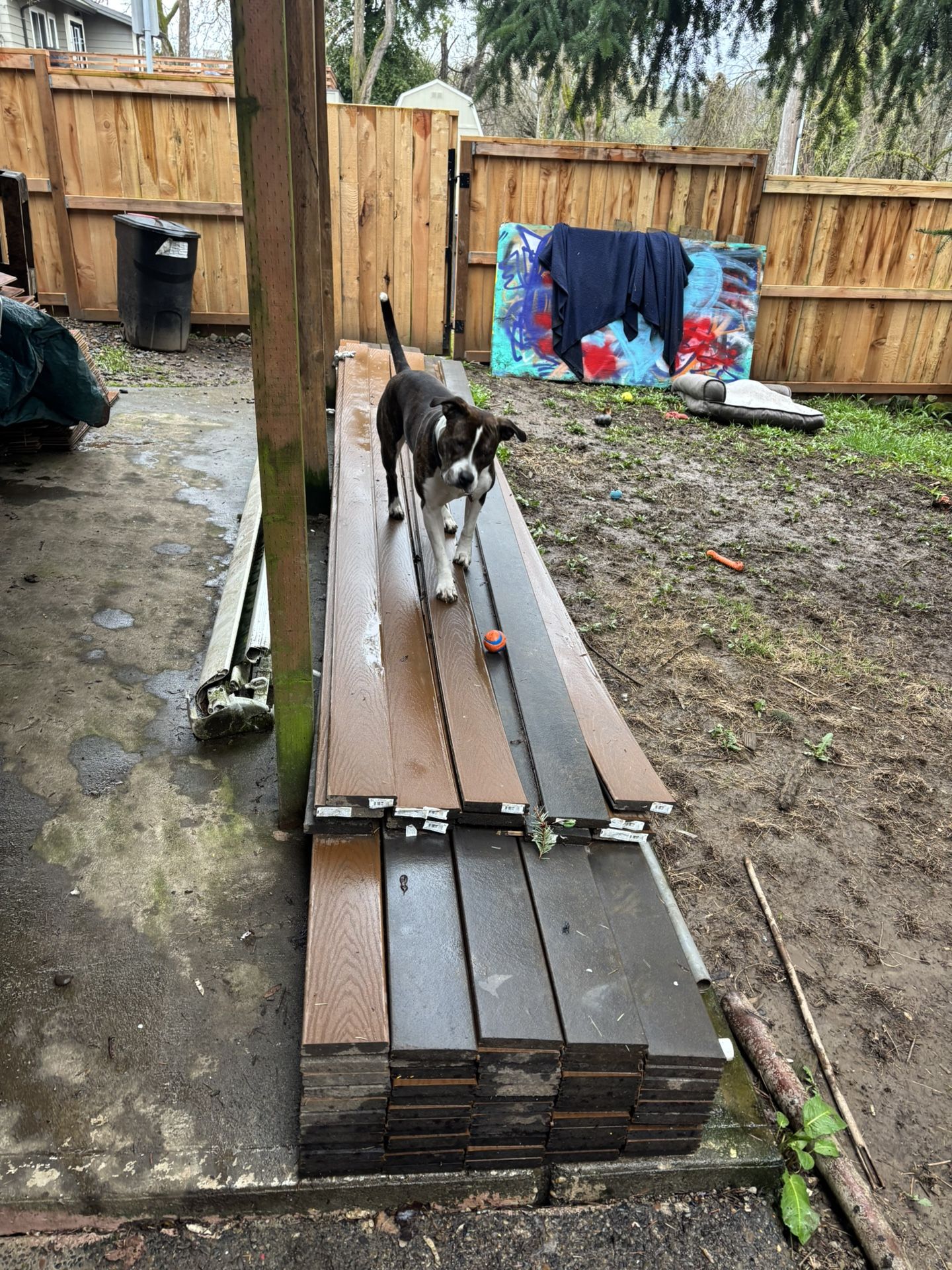 Trex Select (Saddle Color)