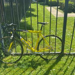 Giant Road Bike