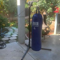 Punching bag.