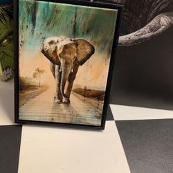 Elephant Pic