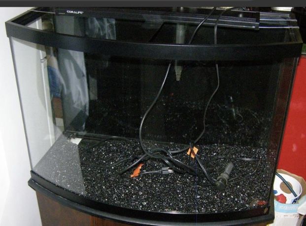 36 Gallon Bow Front Aquarium