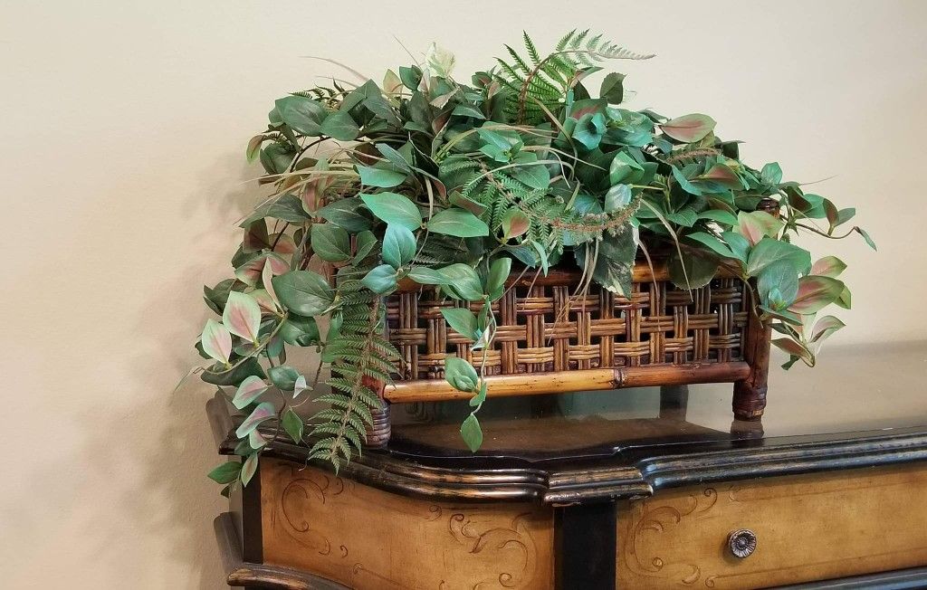 Mixed Philodendron and Fern Plant Arrangement in Bamboo Planter