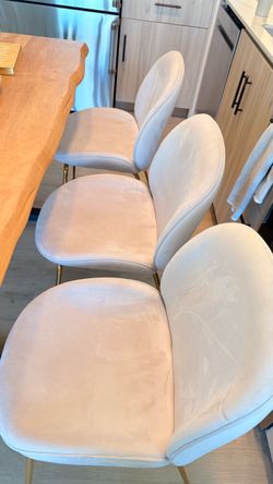Light Blush Velvet Dining Chairs with Brass Legs — Set of 6