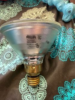 Philips Halogen Spot Light Bulb 540 Lumens