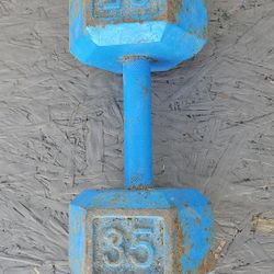 Pair of Dumbbells