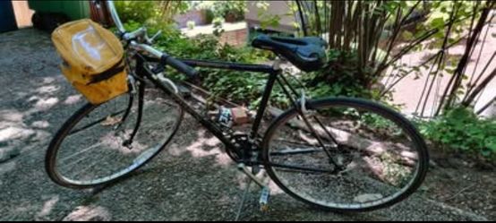 Classic Schwinn World Sport 12-speed