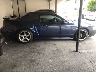 GT Mustang