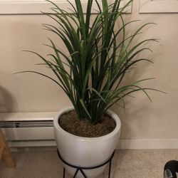 44” Silk Plant in White Ceramic Pot