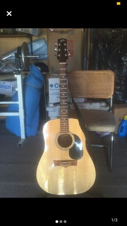 peavy acoustic guitar