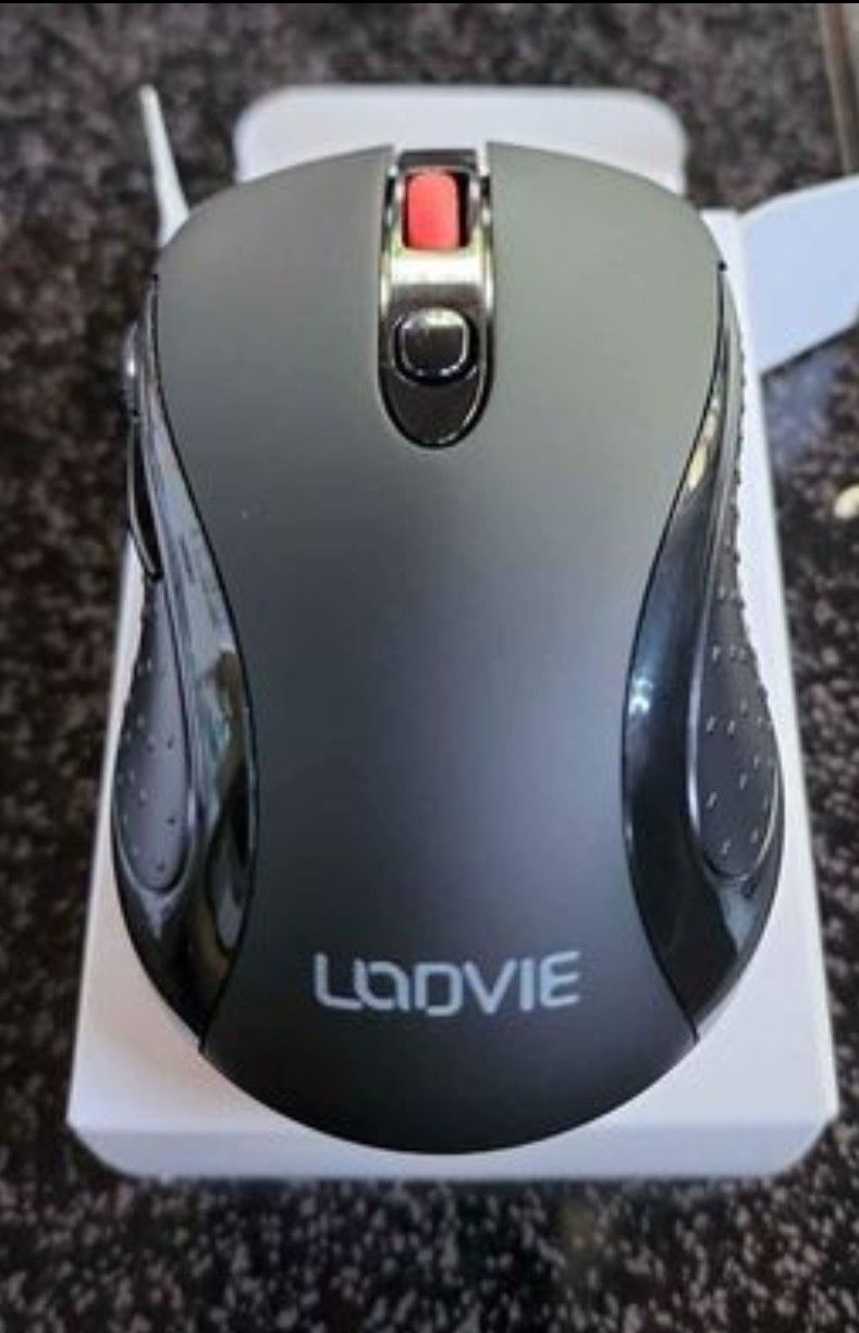 Lodvie Wireless Computer Mouse Pointer Model D-16