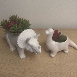 Ceramic White Dinosaur Planters With Succulents 
