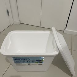 Disposable Cooler