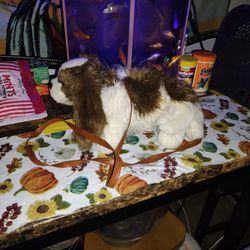 Plushie. Doggy Purse. $5. Clean. Smoke Free Home. 