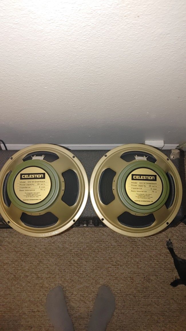 Celestion G12M-25 Greenback Speakers