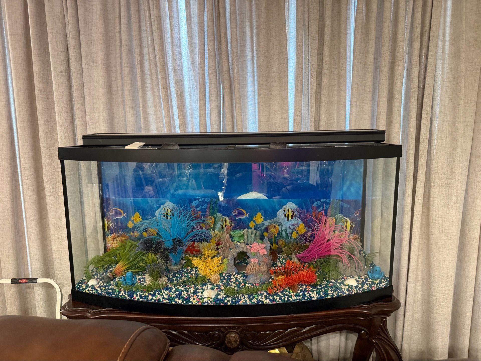 Fish tank