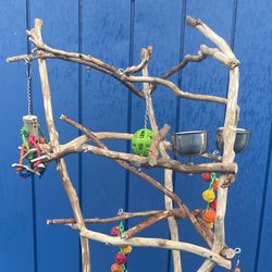 Parrot Perch Tree … Made Of hard Durable Ribbon Wood … Lasts For Years! Breeder Direct Wholesale Pricing ! 👍🏼
