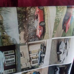 Car Poster