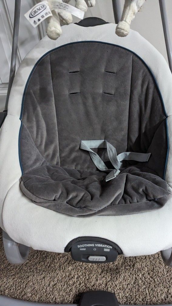 Infant Swing