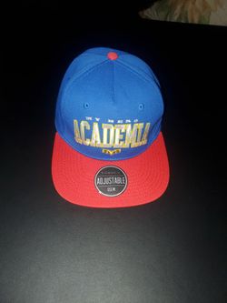 My hero academia hat 