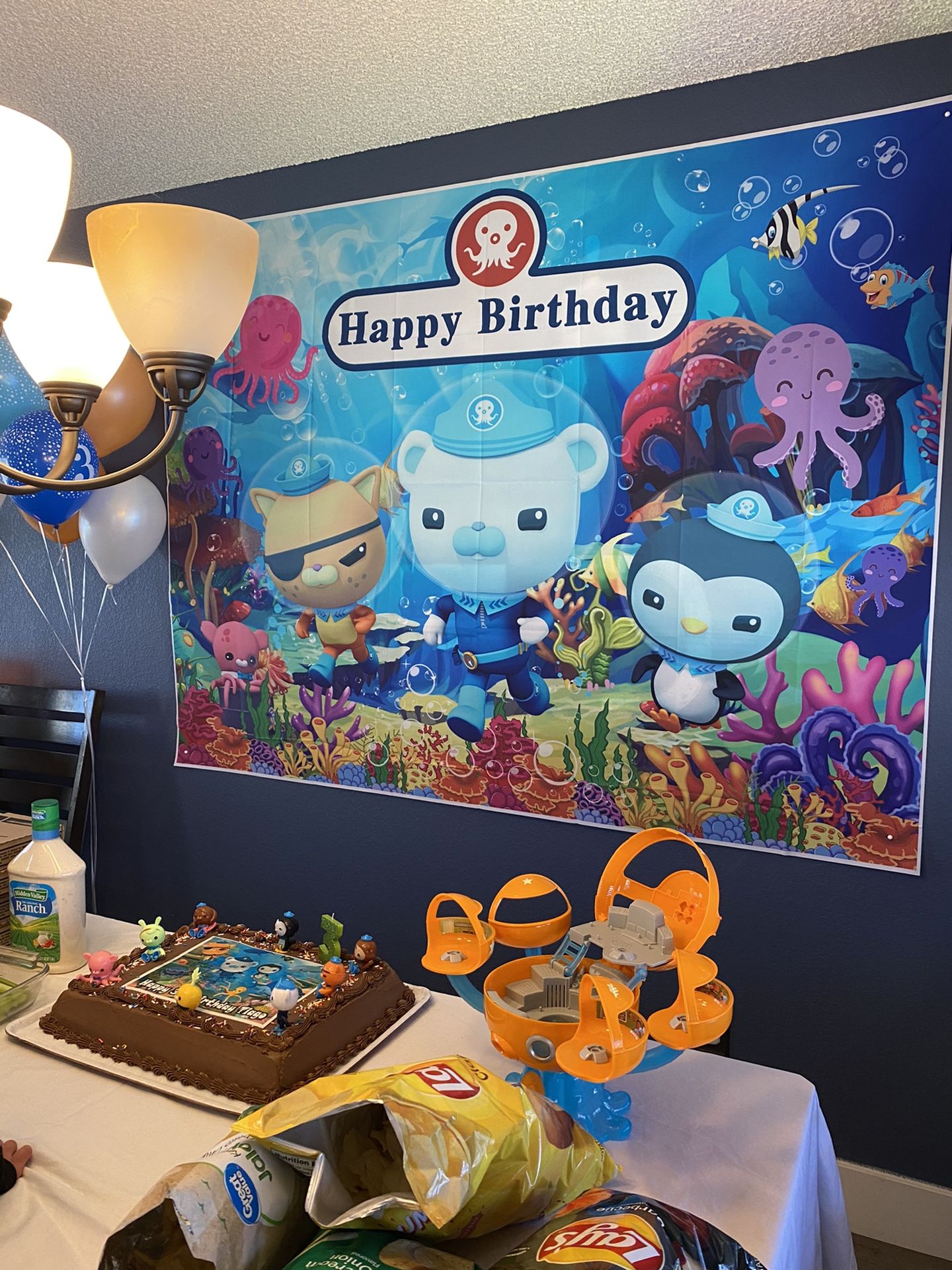 Octonauts Birthday Backdrop