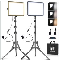 Video Light Kit
