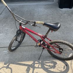 22” Rim Bike