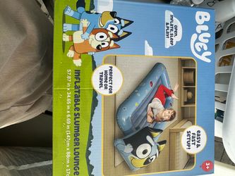 Bluey air bed