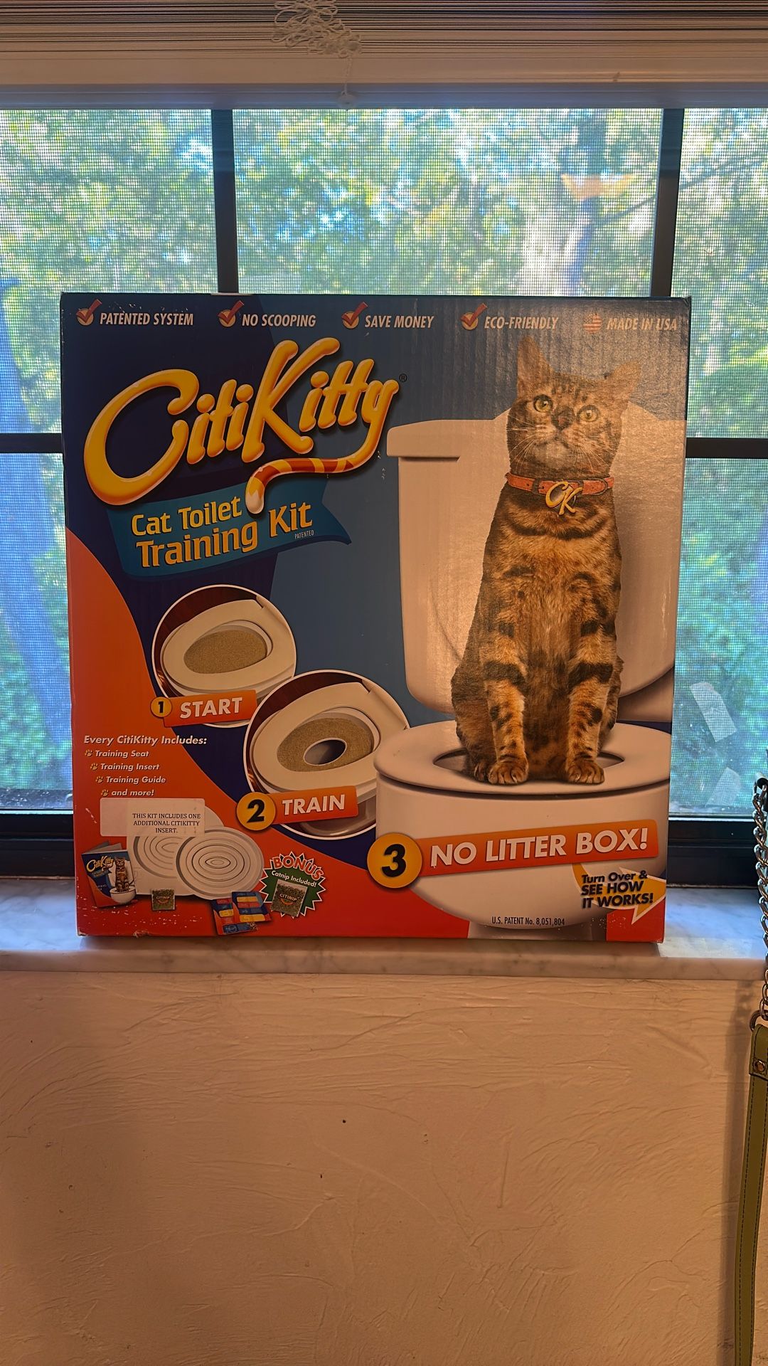 Cat, Kitty Toilet Training