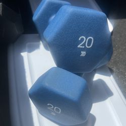 20 Pound Weights