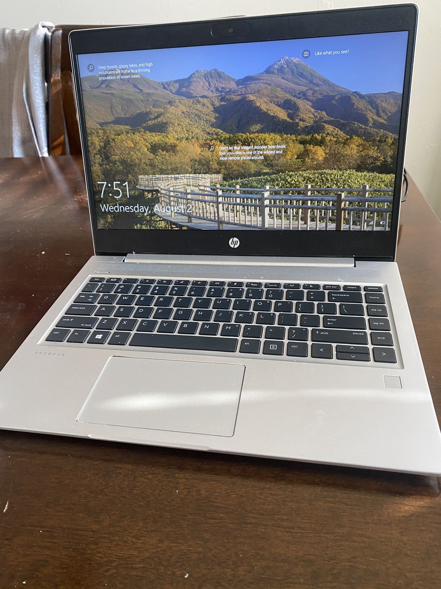 HP PROBOOK 445 G8 Laptop 